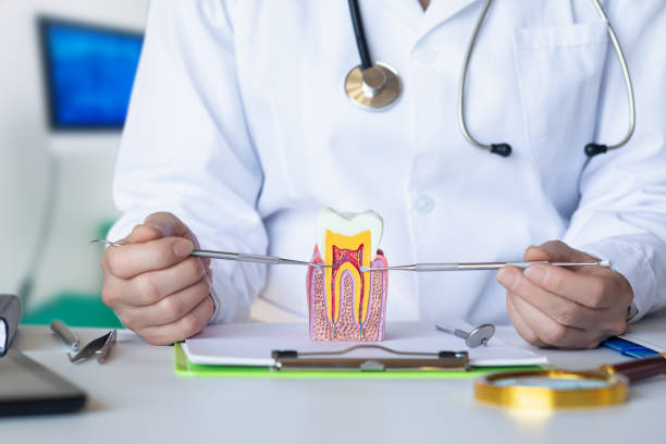 Best Pediatric Emergency Dentist in Burnham, PA
